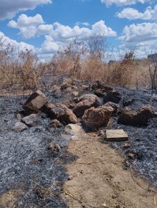 Vaquinha Online - Casinha do Bricio 
