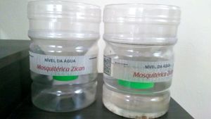 Cajamar/SP - Erradicação Da Dengue 