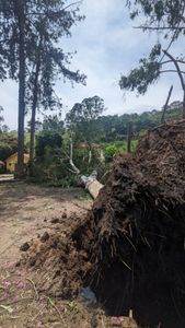 Chácara das Lendas e Canções - Resiliência às Mudanças Climáticas - Chácara das Lendas e Canções - Resiliência às Mudanças Climáticas