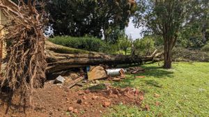 Meio ambiente - Chácara das Lendas e Canções - Resiliência às Mudanças Climáticas