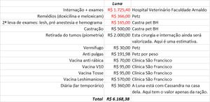 Recuperação da Luna imagem 6