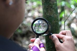 ONGs - Vivência na Natureza 2024 - Estudo do Meio do Instituto UNO