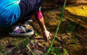 Vivência na Natureza 2024 - Estudo do Meio do Instituto UNO imagem 7