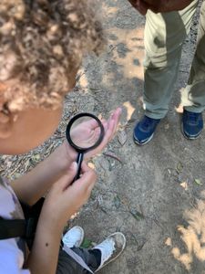 Vivência na Natureza 2024 - Estudo do Meio do Instituto UNO imagem 9