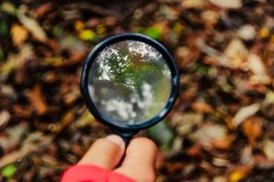 Vivência na Natureza 2024 - Estudo do Meio do Instituto UNO imagem 6