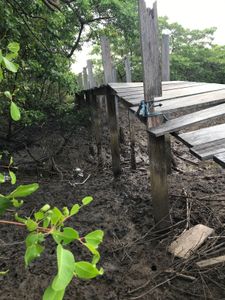 Sustentabilidade nos Lençóis Maranhenses - Passarelas dos povoados Bar da Hora e Mandacaru imagem 8