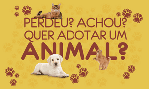 Crowdfunding - Causa Animal - Teste
