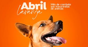 Causas e Comunidade - Causa Animal - Teste
