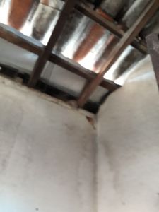 Me ajude a reformar as paredes mofadas e com rachaduras da nossa casa  imagem 12