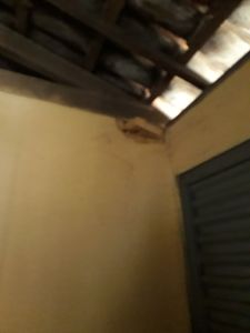 Me ajude a reformar as paredes mofadas e com rachaduras da nossa casa  imagem 7