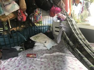 Caridade e Filantropia - Ajude a Dona Vânia, moradora de rua em Fortaleza-CE.