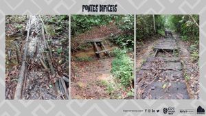 Uma trilha de gerações - Um caminho de encontros imagem 8