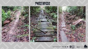 Uma trilha de gerações - Um caminho de encontros imagem 9