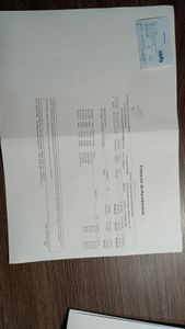 Arrecadação despesas veterinário imagem 6