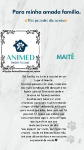 Nathalia - Me ajude a quitar a conta da Maytte 😇🐕