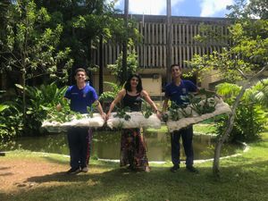 Vaquinha Online - Pernambuco em Nova York! Nos ajude a espalhar ciência pelo planeta e representar nosso país!!!