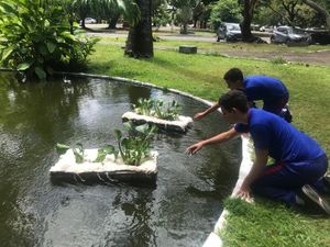 Pesquisa - Pernambuco em Nova York! Nos ajude a espalhar ciência pelo planeta e representar nosso país!!!