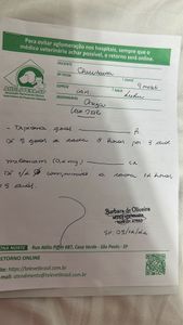 São Paulo/SP - Cirurgia pata do chewbacca