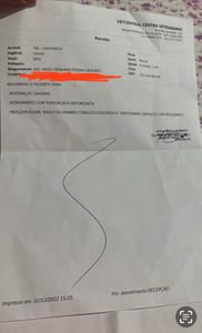 Vaquinha Online - Cirurgia pata do chewbacca