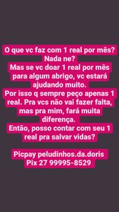 Animais - Ajude nosso abrigo de animais