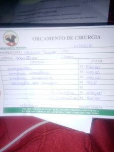 Animais - Ajude-nos a salvar o Moustache