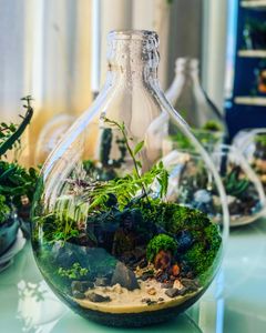 São Paulo/SP - DD EcoArt 