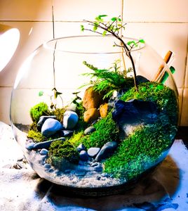 Financiamento Coletivo - DD EcoArt 