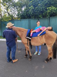 ONGs - Vakinha em prol da Construção da nossa Sede da Equoterapia