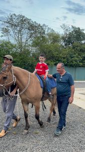 Vakinha em prol da Construção da nossa Sede da Equoterapia imagem 7