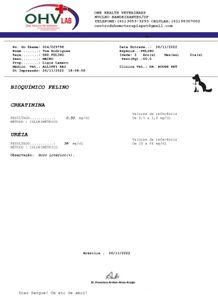 Tom precisa da sua ajuda contra LEOCEMIA FELINA  a  a famosa FELV imagem 8