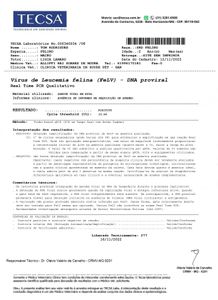 Vaquinha Online - Tom precisa da sua ajuda contra LEOCEMIA FELINA  a  a famosa FELV