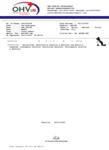 Tom precisa da sua ajuda contra LEOCEMIA FELINA  a  a famosa FELV imagem 9