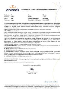 Tom precisa da sua ajuda contra LEOCEMIA FELINA  a  a famosa FELV imagem 6