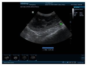 Tom precisa de vc para lutar contra  a leocemia felina  - Tom precisa da sua ajuda contra LEOCEMIA FELINA  a  a famosa FELV