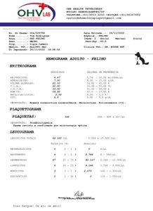 Tom precisa da sua ajuda contra LEOCEMIA FELINA  a  a famosa FELV imagem 7