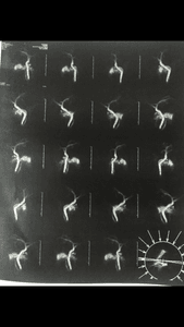 Vaquinha Online - Preciso fazer CPRE urgente !