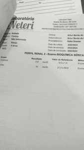 Ajude a BELINHA!!! imagem 7