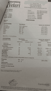 Uberlândia/MG - Ajude a BELINHA!!!