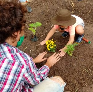 Causas e Comunidade - Ecoalfabetização e Saúde Mental Para Escolas Públicas  - Jardim Terrapêutico