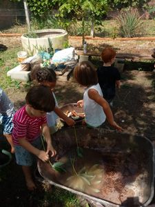 Crowdfunding - Ecoalfabetização e Saúde Mental Para Escolas Públicas  - Jardim Terrapêutico