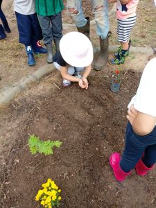 Ecoalfabetização e Saúde Mental Para Escolas Públicas  - Jardim Terrapêutico imagem 6
