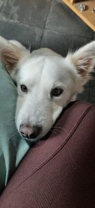 Viagem - Ajude Stark a Mudar de vida <3 