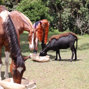 Vaquinha Online - Alimentação Mensal dos Animais do Santuário Março/2023
