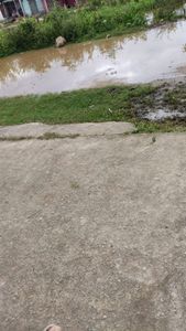 Reconstruir casinha Katia S2 imagem 6