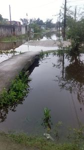 Causas e Comunidade - Reconstruir casinha Katia S2