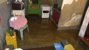 Marina Rodrigues  - Reconstruir casinha Katia S2