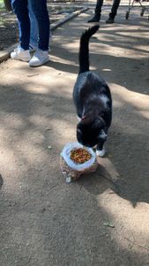 Lar Assistencial Matilde - Irmão Francisco - Lar Assistencial Matilde - Projeto Irmão Francisco