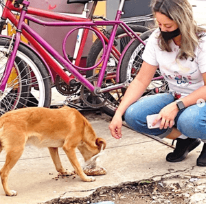 Lar Assistencial Matilde - Projeto Irmão Francisco imagem 7