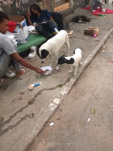 Lar Assistencial Matilde - Projeto Irmão Francisco imagem 8