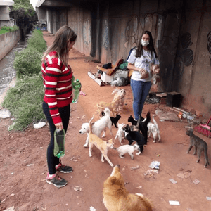 Lar Assistencial Matilde - Projeto Irmão Francisco imagem 6